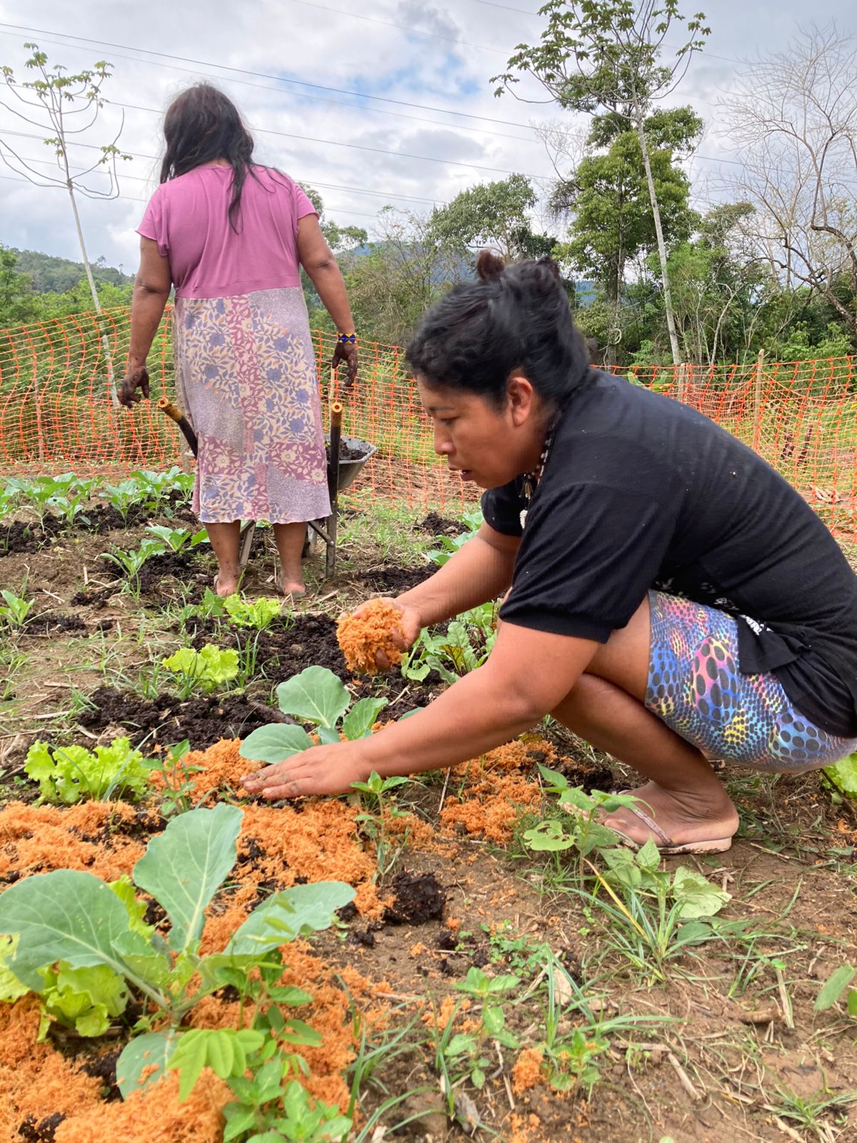 Mulheres plantando em uma horta comunitária.