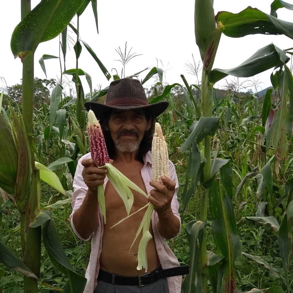 Comunidade reunida em atividade agroecológica.