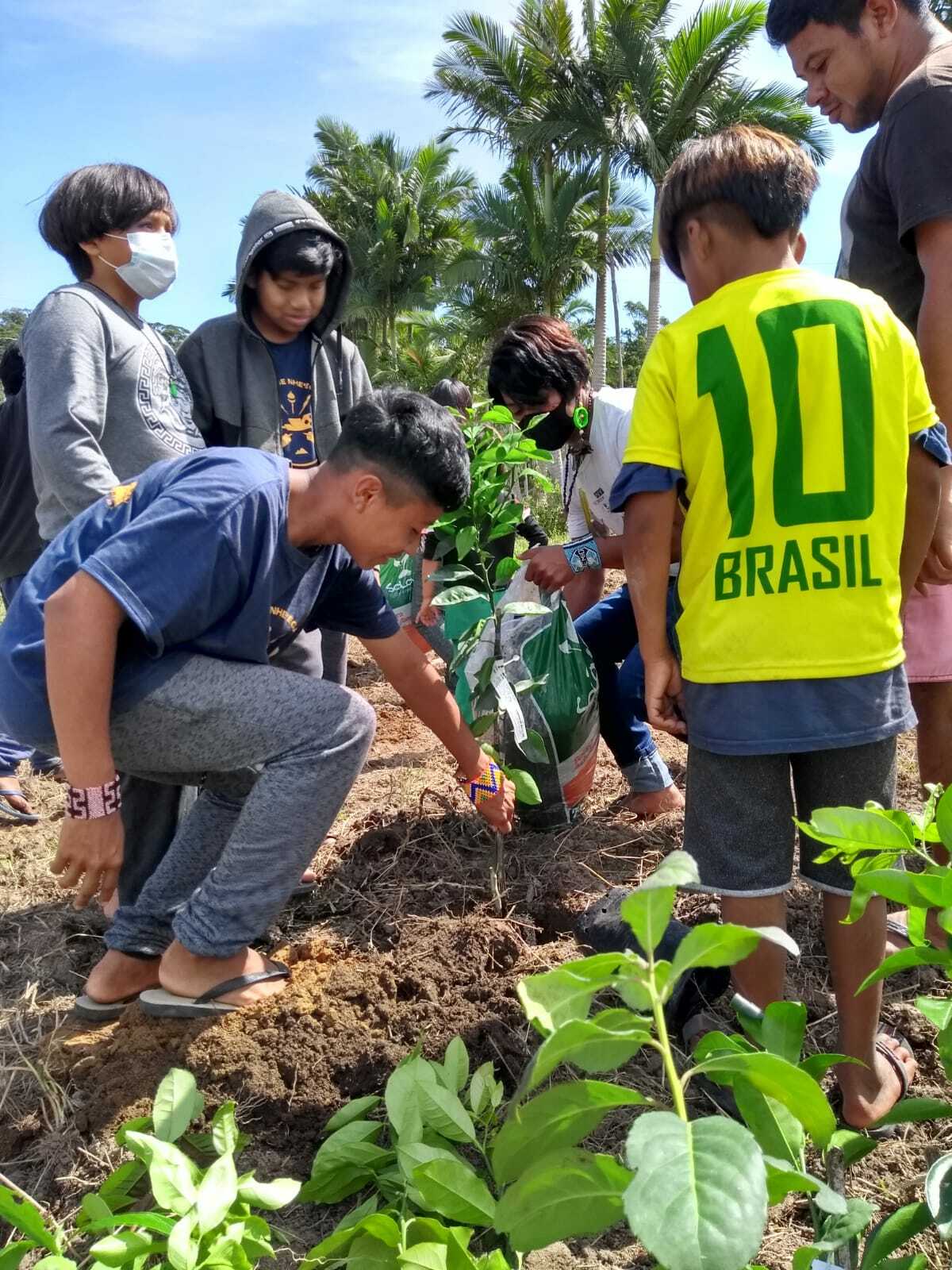Ação do Cepagro em uma comunidade.