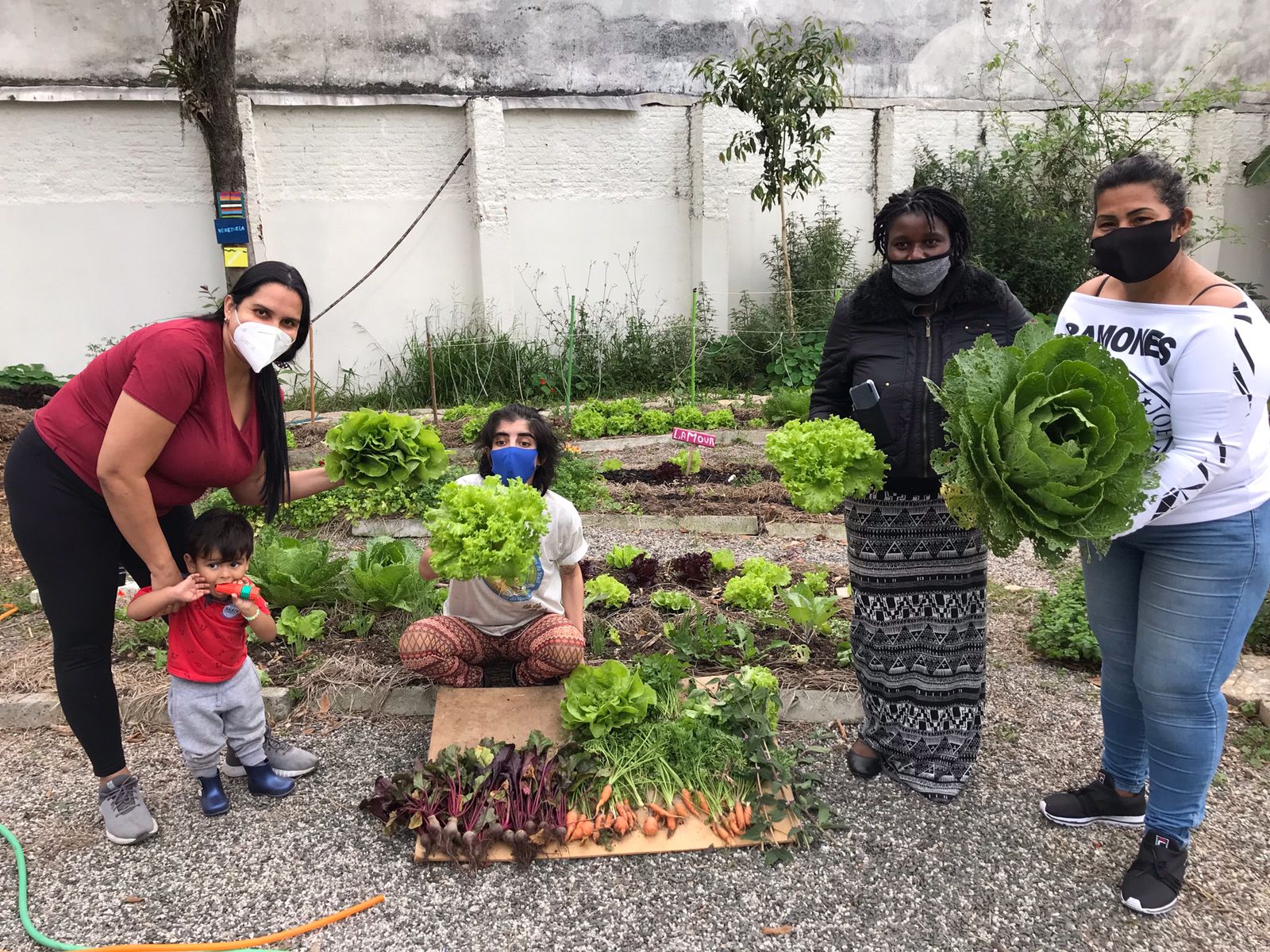 Trabalho de campo com famílias agricultoras.