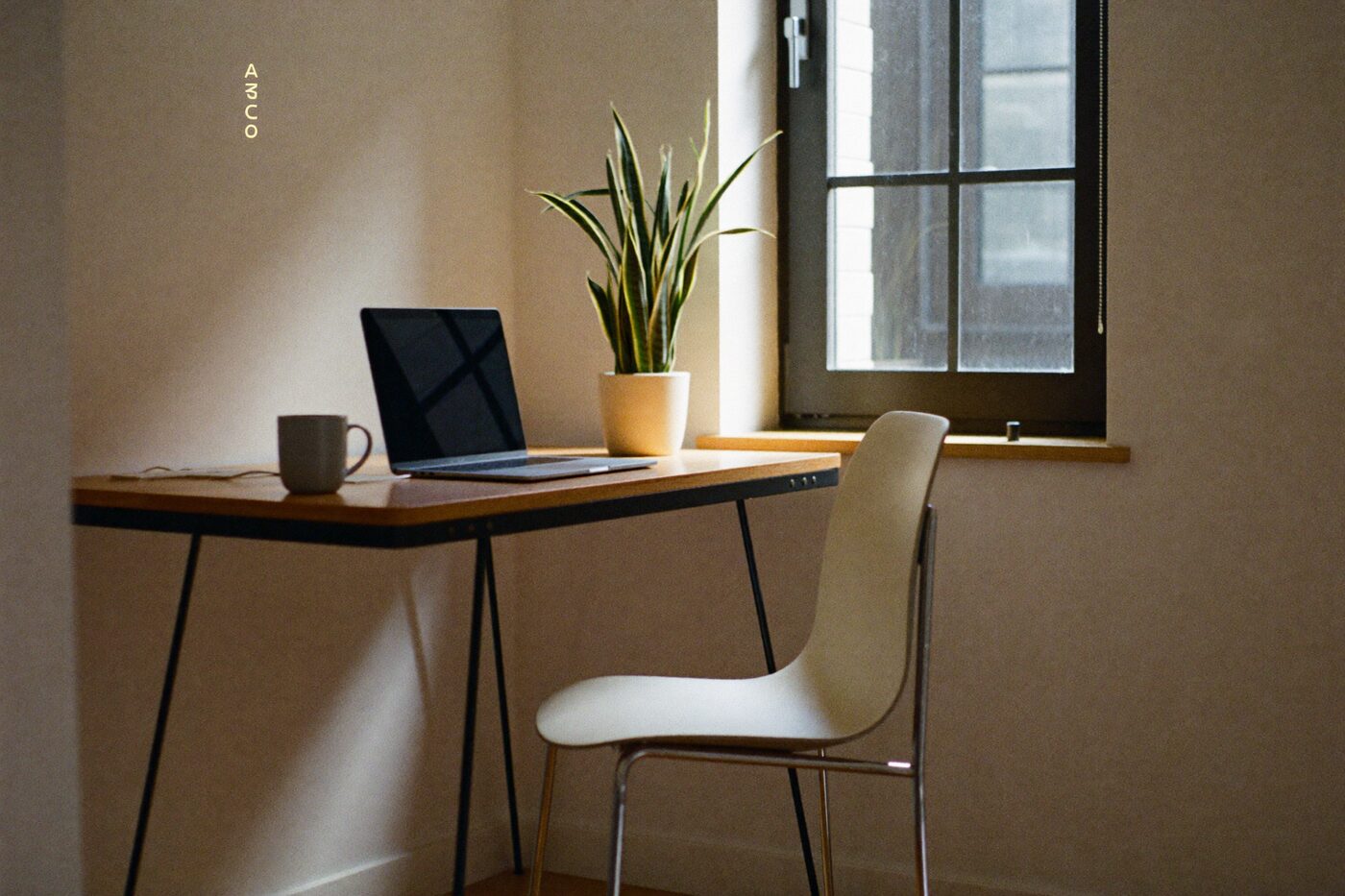 Mesa de home office com notebook, caneca e planta ao lado de uma janela com luz natural.