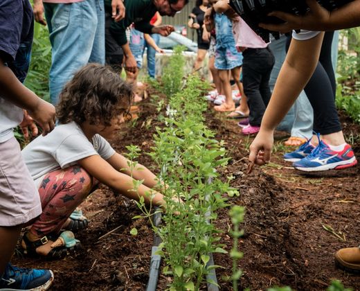 Crianças plantando mudas em horta comunitária