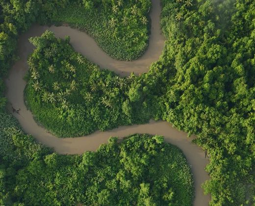 Vista aérea de rio sinuoso cortando a floresta